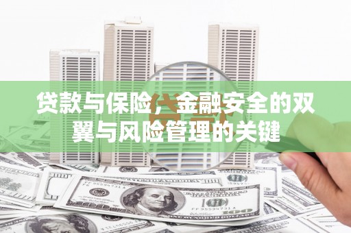 犍为贷款与保险，金融安全的双翼与风险管理的关键