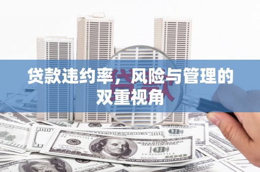 犍为贷款违约率，风险与管理的双重视角