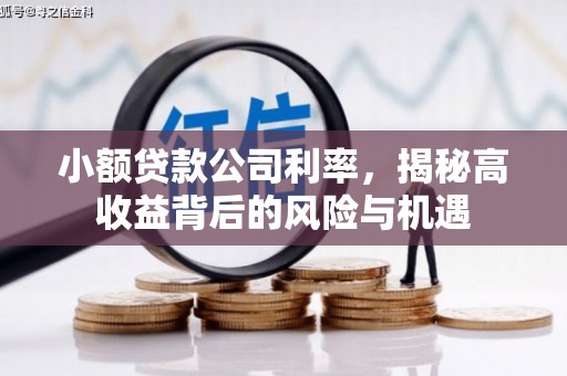 犍为小额贷款公司利率，揭秘高收益背后的风险与机遇