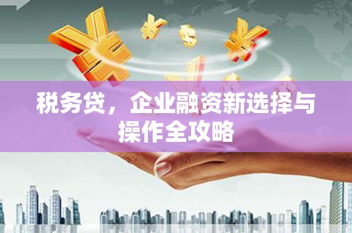 犍为税务贷，企业融资新选择与操作全攻略