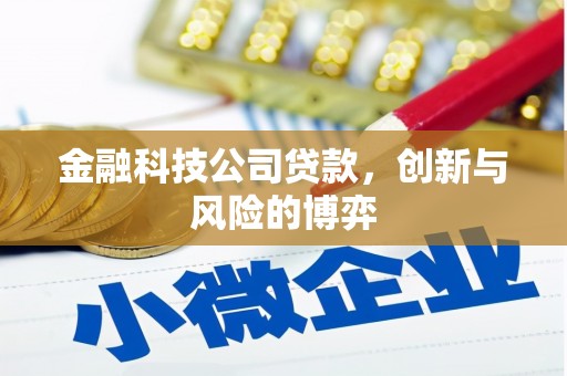 犍为金融科技公司贷款，创新与风险的博弈