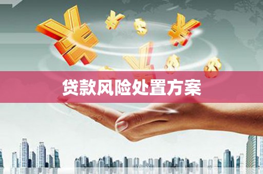 犍为贷款风险处置方案