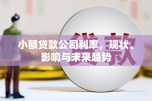 犍为小额贷款公司利率，现状、影响与未来趋势