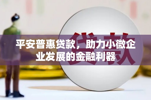 犍为平安普惠贷款，助力小微企业发展的金融利器