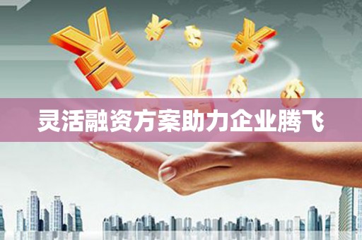 犍为灵活融资方案助力企业腾飞