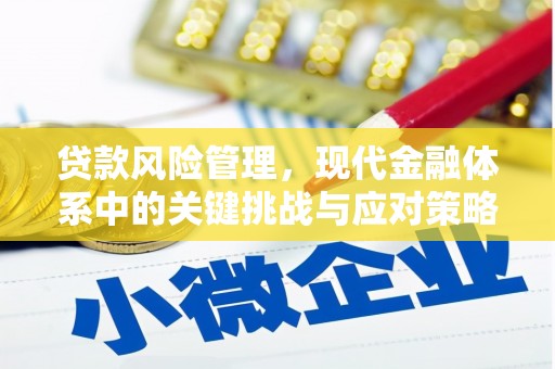 犍为贷款风险管理，现代金融体系中的关键挑战与应对策略
