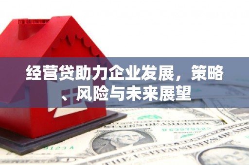 犍为经营贷助力企业发展，策略、风险与未来展望