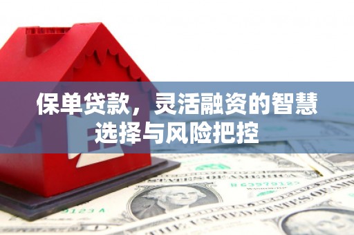 犍为保单贷款，灵活融资的智慧选择与风险把控