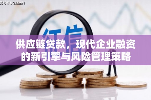 犍为供应链贷款，现代企业融资的新引擎与风险管理策略