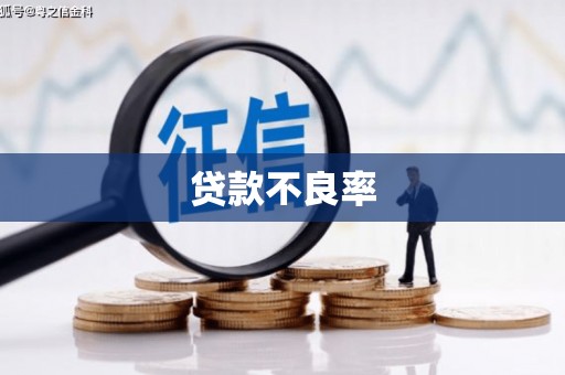 犍为贷款不良率