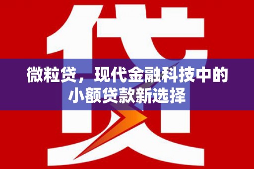 犍为微粒贷，现代金融科技中的小额贷款新选择