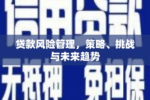 犍为贷款风险管理，策略、挑战与未来趋势