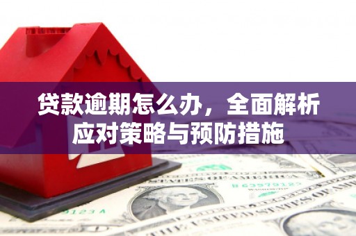 犍为贷款逾期怎么办，全面解析应对策略与预防措施