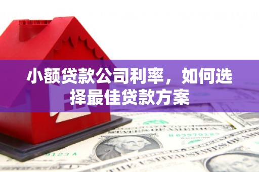 犍为小额贷款公司利率，如何选择最佳贷款方案