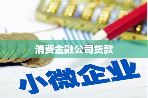 犍为消费金融公司贷款
