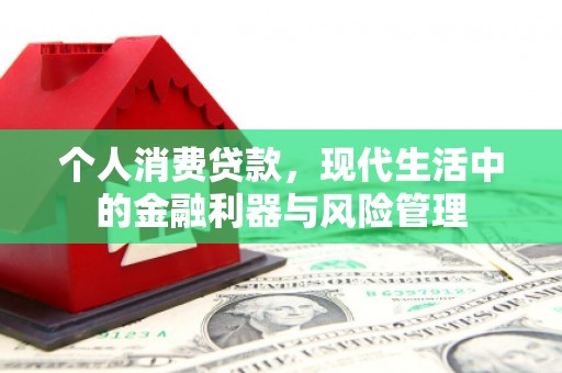 犍为个人消费贷款，现代生活中的金融利器与风险管理