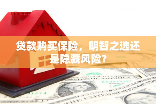 犍为贷款购买保险，明智之选还是隐藏风险？