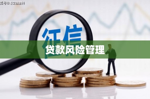 犍为贷款风险管理