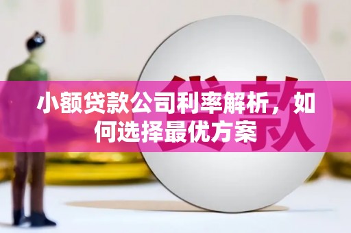 犍为小额贷款公司利率解析，如何选择最优方案