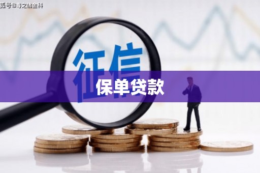 犍为保单贷款