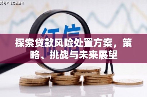 犍为探索贷款风险处置方案，策略、挑战与未来展望