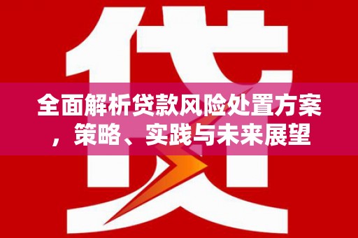 犍为全面解析贷款风险处置方案，策略、实践与未来展望