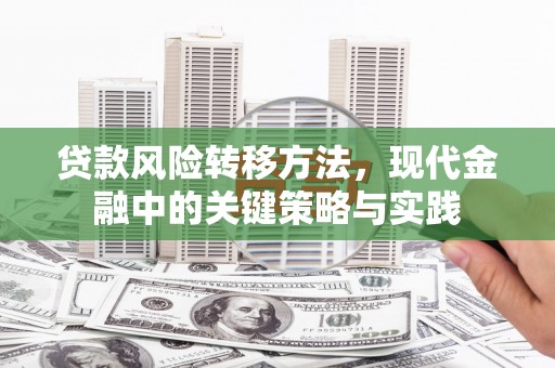 犍为贷款风险转移方法，现代金融中的关键策略与实践