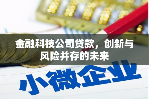 犍为金融科技公司贷款，创新与风险并存的未来