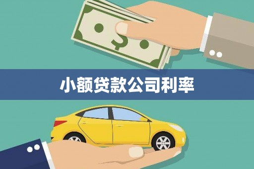 犍为小额贷款公司利率