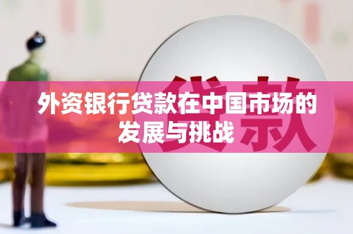 犍为外资银行贷款在中国市场的发展与挑战