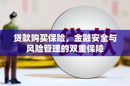 犍为贷款购买保险，金融安全与风险管理的双重保障