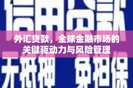 犍为外汇贷款，全球金融市场的关键驱动力与风险管理