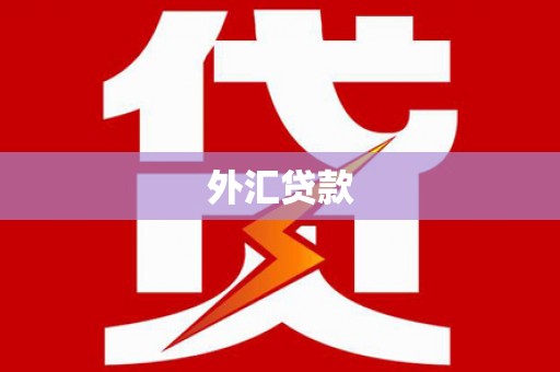 犍为外汇贷款
