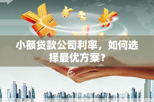 犍为小额贷款公司利率，如何选择最优方案？