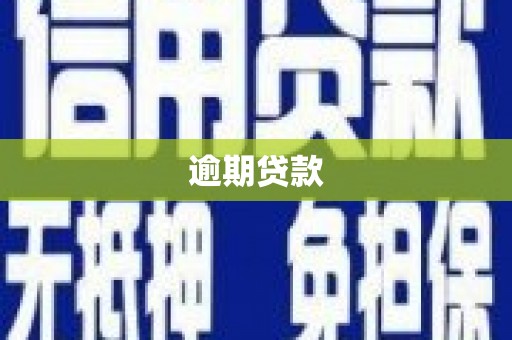 犍为逾期贷款