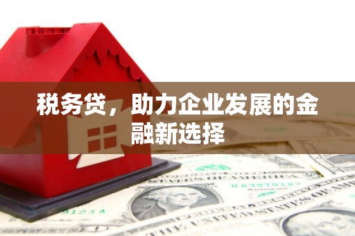 犍为税务贷，助力企业发展的金融新选择