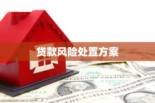 犍为贷款风险处置方案