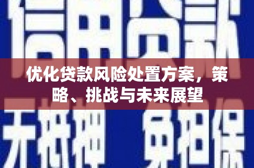 犍为优化贷款风险处置方案，策略、挑战与未来展望