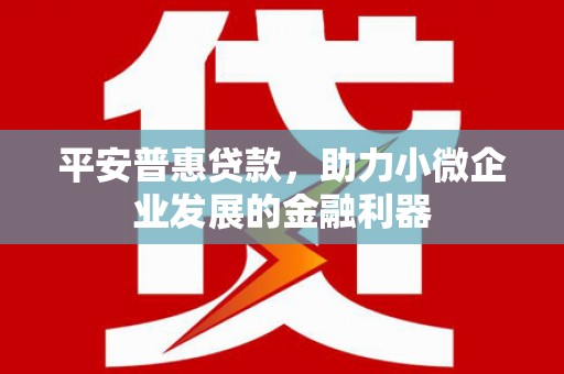 犍为平安普惠贷款，助力小微企业发展的金融利器