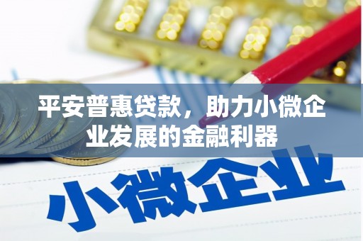 犍为平安普惠贷款，助力小微企业发展的金融利器