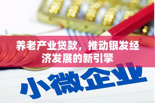 犍为养老产业贷款，推动银发经济发展的新引擎