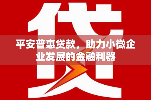 犍为平安普惠贷款，助力小微企业发展的金融利器