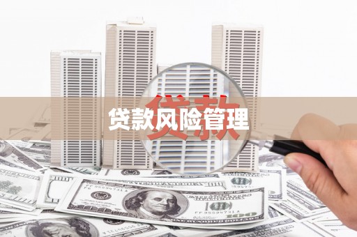 犍为贷款风险管理