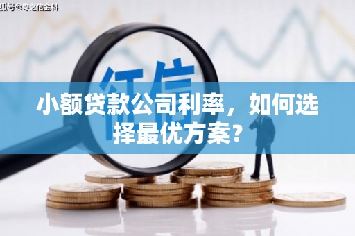犍为小额贷款公司利率，如何选择最优方案？