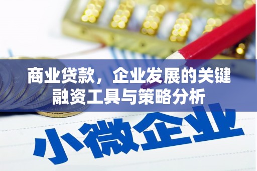 犍为商业贷款，企业发展的关键融资工具与策略分析