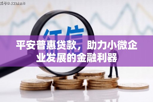 犍为平安普惠贷款，助力小微企业发展的金融利器