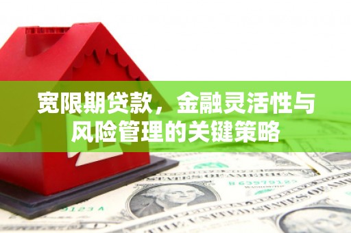 犍为宽限期贷款，金融灵活性与风险管理的关键策略