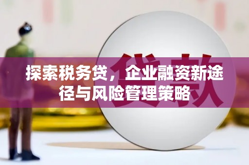 犍为探索税务贷，企业融资新途径与风险管理策略