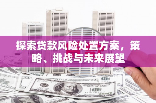 犍为探索贷款风险处置方案，策略、挑战与未来展望