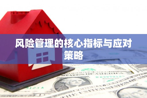犍为风险管理的核心指标与应对策略